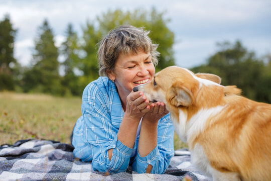 Senior woman feeding corgi dog while lying on picnic blanket outdoors