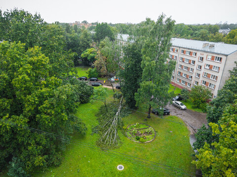 Aerial view of a fallen tree in the Agenskalna Priedes residential district in Riga, Latvia.