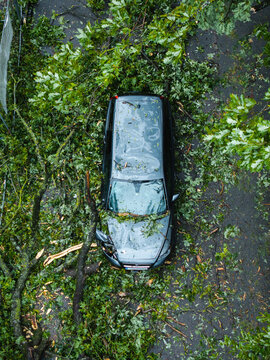 Aerial view of a car crushed by a fallen tree after a severe storm in Riga, Latvia.