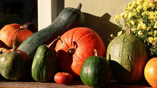 Autumn pumpkin and squash harvest with sustainable decor