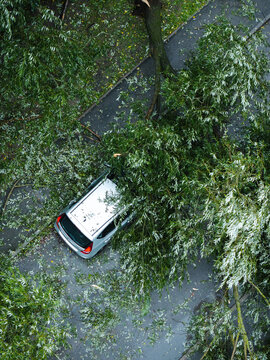 Aerial view of a silver car damaged by a large fallen tree on an asphalt road following a severe storm in Riga, Latvia.