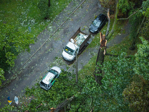 Aerial view of fallen trees crushing cars on a road after a severe storm in Riga, Latvia.