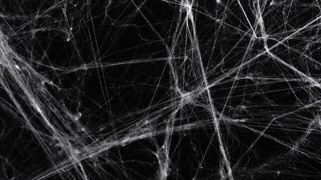 White Halloween spiderweb texture on black background. Spooky chaotic cobweb fibers overlay. Abstract creepy mesh pattern for horror design, gothic party decor, scary backdrop, and holiday banner.