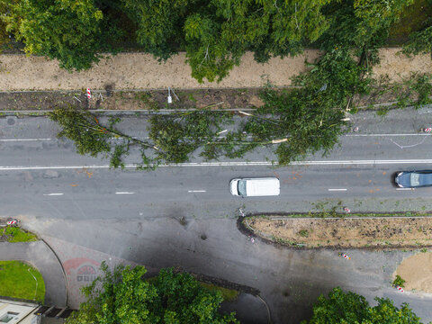 Aerial view of fallen trees blocking a road after a severe storm with a white van driving past the debris in Riga, Latvia.
