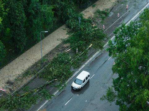 Aerial view of a white van driving on a wet road past fallen trees and debris caused by a severe storm in Riga, Latvia.
