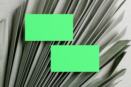 Tropical leaves with green cards, suitable as mockup