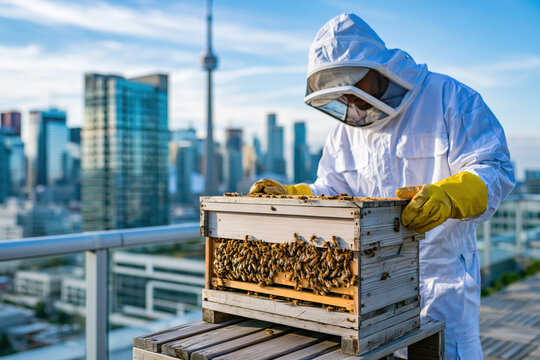 Urban beehive on rooftop beekeeper in protective suit tending