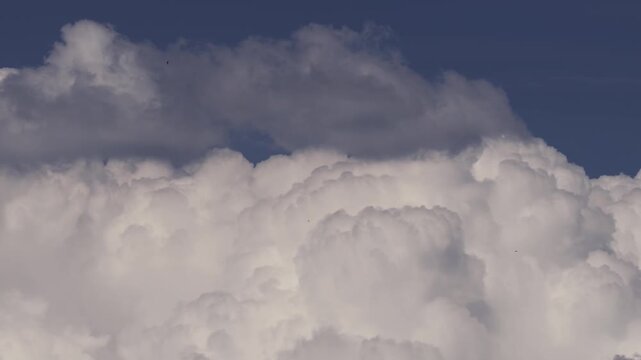 Timelapse of cumulus clouds drifting across blue sky
