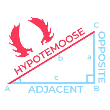Hypotemoose pythagorean theorem