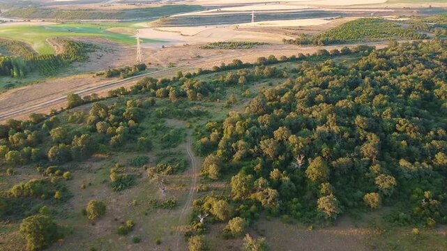 Aerial view of woodland and farmland with railway corridor