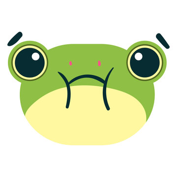 Frog face sad animal