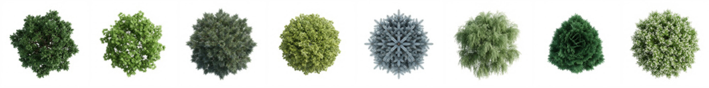 Trees top view set for landscape architecture, featuring various isolated green foliage crowns on white background for site plans, masterplan drawings, and garden visualization