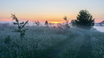 Naklejka premium This blurred landscape image depicts a misty path winding through a grassy field towards a vibrant sunrise on the horizon