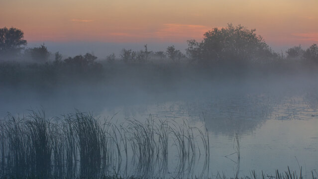 A serene, misty river landscape at dawn features thick fog rolling over the calm water, silhouetted distant trees, and reeds