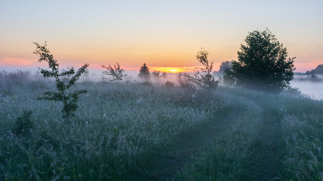 This blurred landscape image depicts a misty path winding through a grassy field towards a vibrant sunrise on the horizon