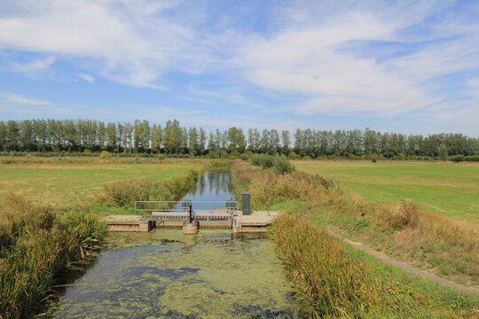 a nature reserve in the dutch countryside in summer of a beautiful ditch with blue water and a weir between green fields and a blue sky