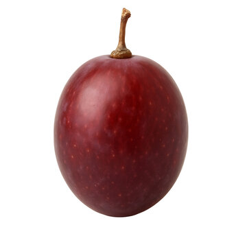 Single dark red grape with brown stem