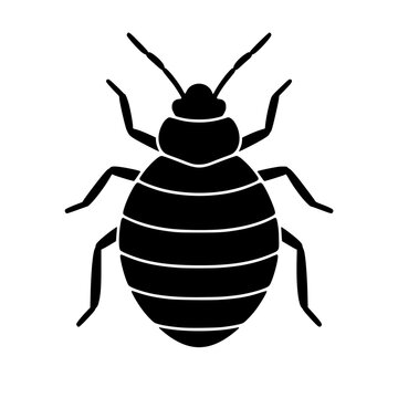 Bedbug icon flat outline in black