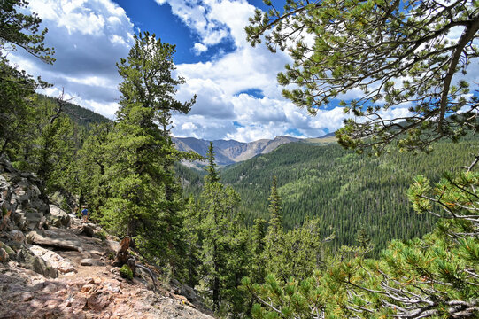 Rocky Mountains with pine trees and blue skies  near Echo Lake, Idaho Springs CO