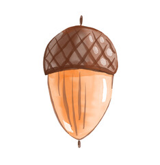 Acorn. Watercolor hand drawn illustration  © Alena