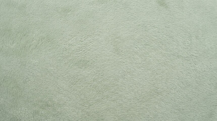 Close up of soft sage green faux fur fabric texture © Jane