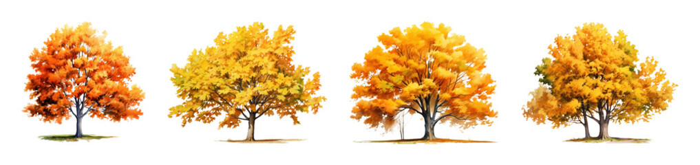 Obraz premium PNG Vibrant autumn trees with colorful foliage, transparent background