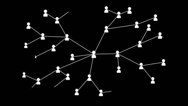 Expanding User Network and Organizational Hierarchy Matte Animation
