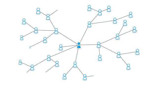 User Connection Network and Organization Tree Animation