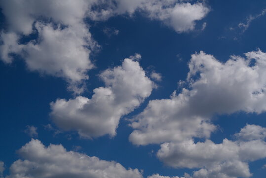 White puffy cumulus clouds scattered across clear blue sky background.