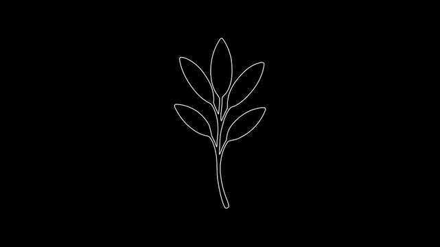 Animated one line drawing of a growing plant