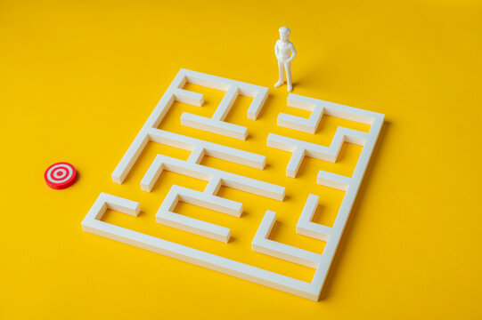 Problem solving, strategy and finding the right path through maze toward target