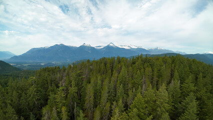 Obraz premium An aerial wide shot looks across an endless dense pine forest canopy toward the massive snow capped mountain peaks of the Mount Tantalus range under white clouds.