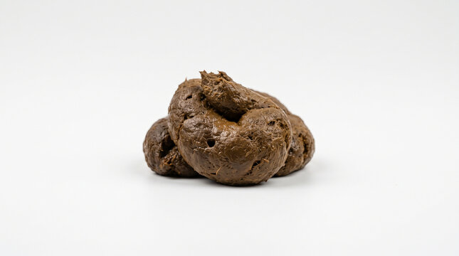 A pile of brown animal waste isolated on a plain white background for medical study with isolated against clean textured pile composition biological collection