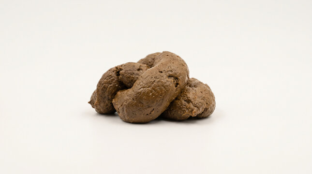 A single pile of brown dog waste isolated against a clean white studio background surface with centered plain white waste product sits centered environment disgusting