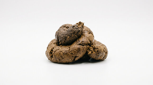 A pile of brown dog waste isolated on a plain white studio background surface with environmental biological sanitation disgusting unhygienic veterinary unsanitary