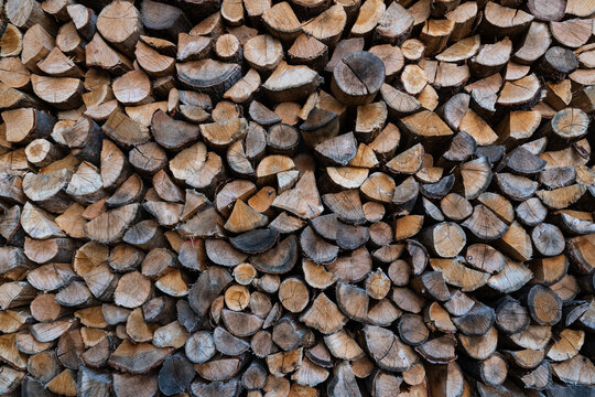 Warm Brown and Gray Abstract Wood Texture Background Rough Organic Grain Surface Natural Cut Ends Softly Focused Organic Material Backdrop for Copy Space