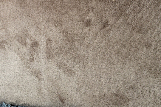 Soft Focus Muted Earthy Abstract Suede Texture Background with Gentle Variations and Ample Copy Space