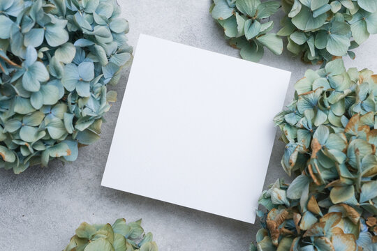 White square paper card mockup placed on a textured surface surrounded by dried blue-green hydrangea flowers, creating a natural and minimalistic composition for design purposes