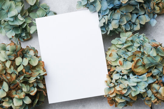 Blank invitation card mockup surrounded by dried hydrangea flowers in shades of blue and green, placed on a textured gray surface for a natural aesthetic