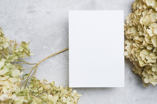Blank invitation card placed on a textured gray surface surrounded by dried hydrangea flowers, suitable for customization or design mockup purposes