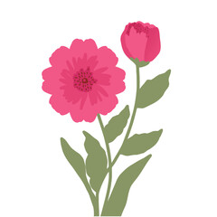 Obraz premium Elegant Pink Flower Illustration, Detailed Bloom and Bud with Green Leaves for Botanical Art, Stickers and Decorative Design.