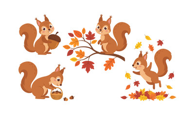 Naklejka premium Autumn squirrel vector illustration isolated on white background