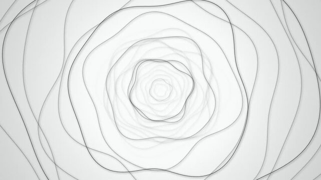 Concentric organic rose wavy lines seamless loop motion background
