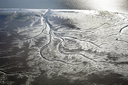 Germany, Hamburg, M&uuml;hlenberger Loch, Elbe, river, water, tidal flat, freshwater tidal flat, brackish water tidal flat, low tide, mudflat, aerial photograph