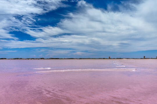 Vibrant Pink Water of Cumaragua Salt Mine Under Cloudy Sky in Falcon Venezuela, Tropical Travel Destination