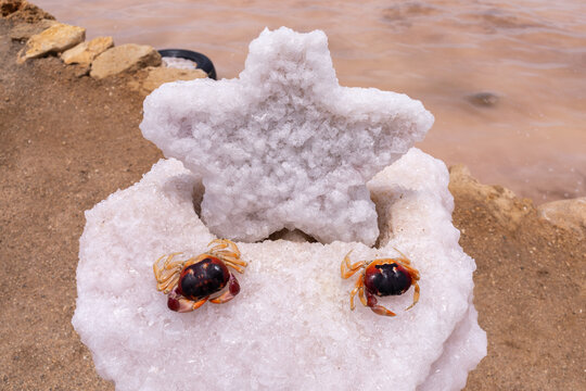 Traditional Salt Industry and Local Souvenir Display at Pink Lake Cumaragua in Paraguana, Venezuela