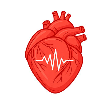 Heart icon with ECG pattern