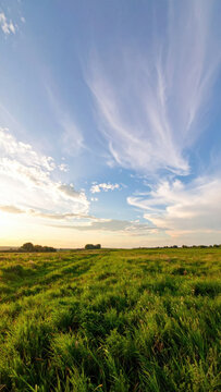 Green grassland landscape under blue sky with wispy cloud at golden hour, creating peaceful rural scene with open space and natural light