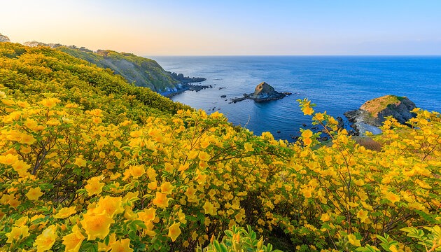Golden Wildflowers on Coastal Cliffs at Sunset Generative AI