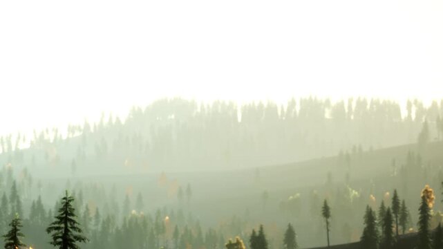 Sunlight filters through the trees in a forest. Hills stretch into the distance, covered with a mix of green and yellow leaves. The scene is quiet and shows the beauty of nature in autumn.